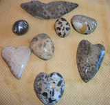 Petoskey and puddingstones.jpg